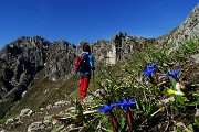 18 Gentiana verna (Genziana primaticcia)